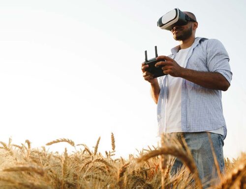 Ventajas e inconvenientes del uso de tecnologías de realidad aumentada en contextos de aprendizaje de idiomas.